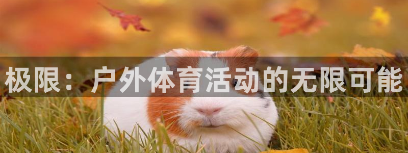意昂5Kgame2平台