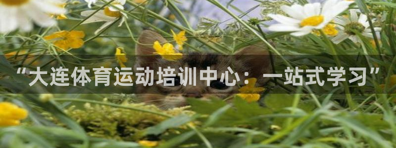 成都意昂5Kgame电子有限公司