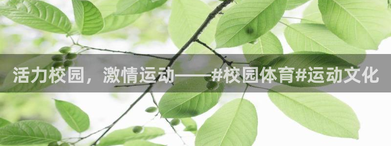 意昂5Kgamekgame