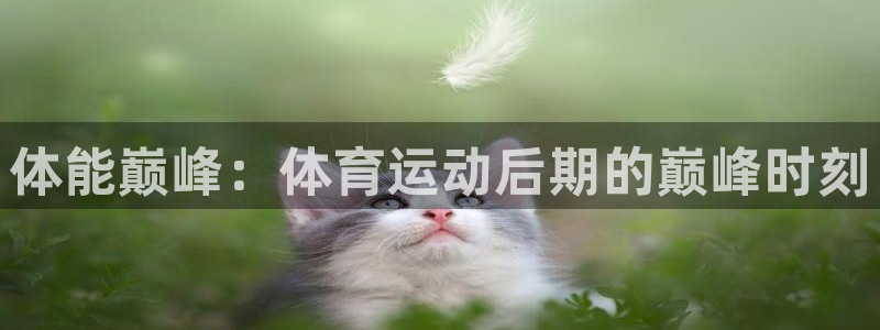 意昂5Kgame4