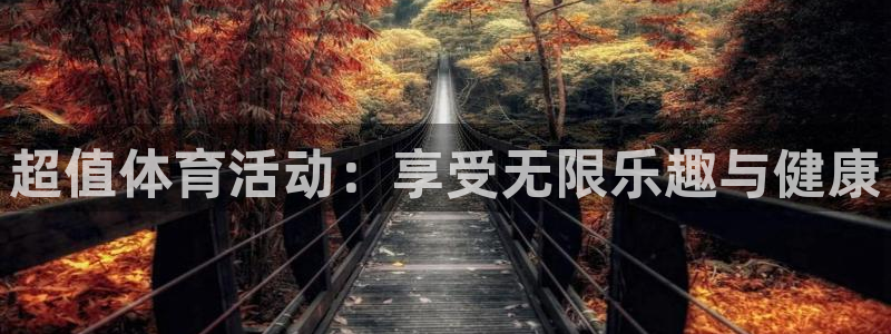 意昂5Kgame体育官网入口登录