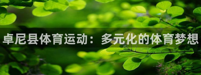 意昂5Kgame体育官网登录