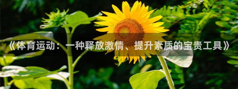 上海意昂5Kgame汽车电子有限公司