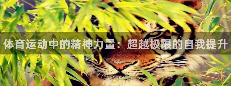 意昂5Kgame零能源集团