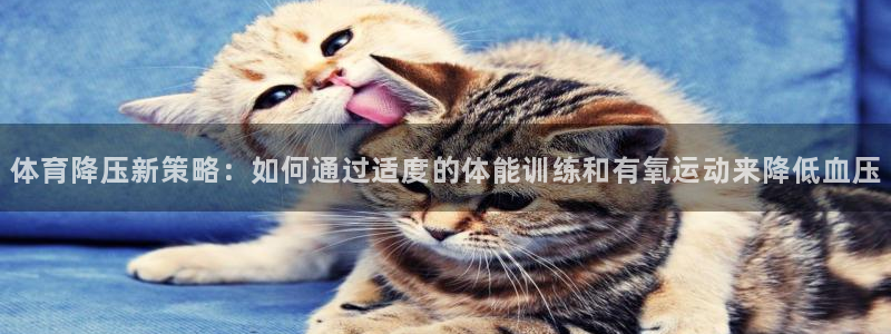 意昂5Kgame2登录