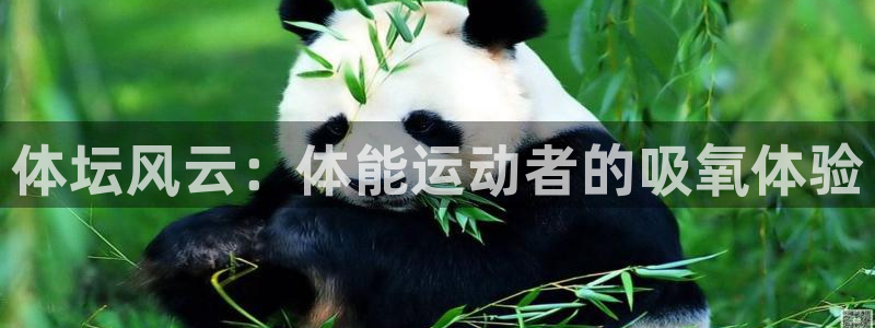 www.意昂5Kgame体育.com