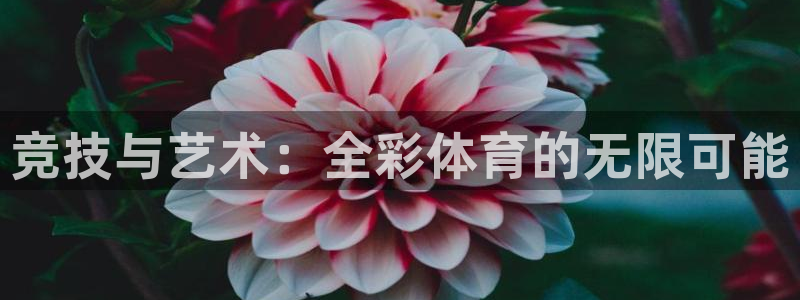 意昂5Kgame体育平台登录入口