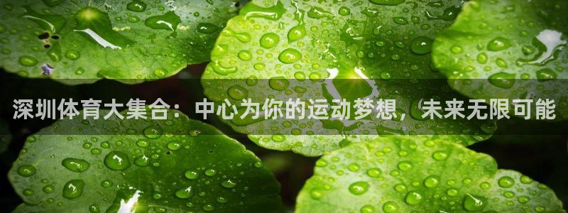 意昂5Kgame代理